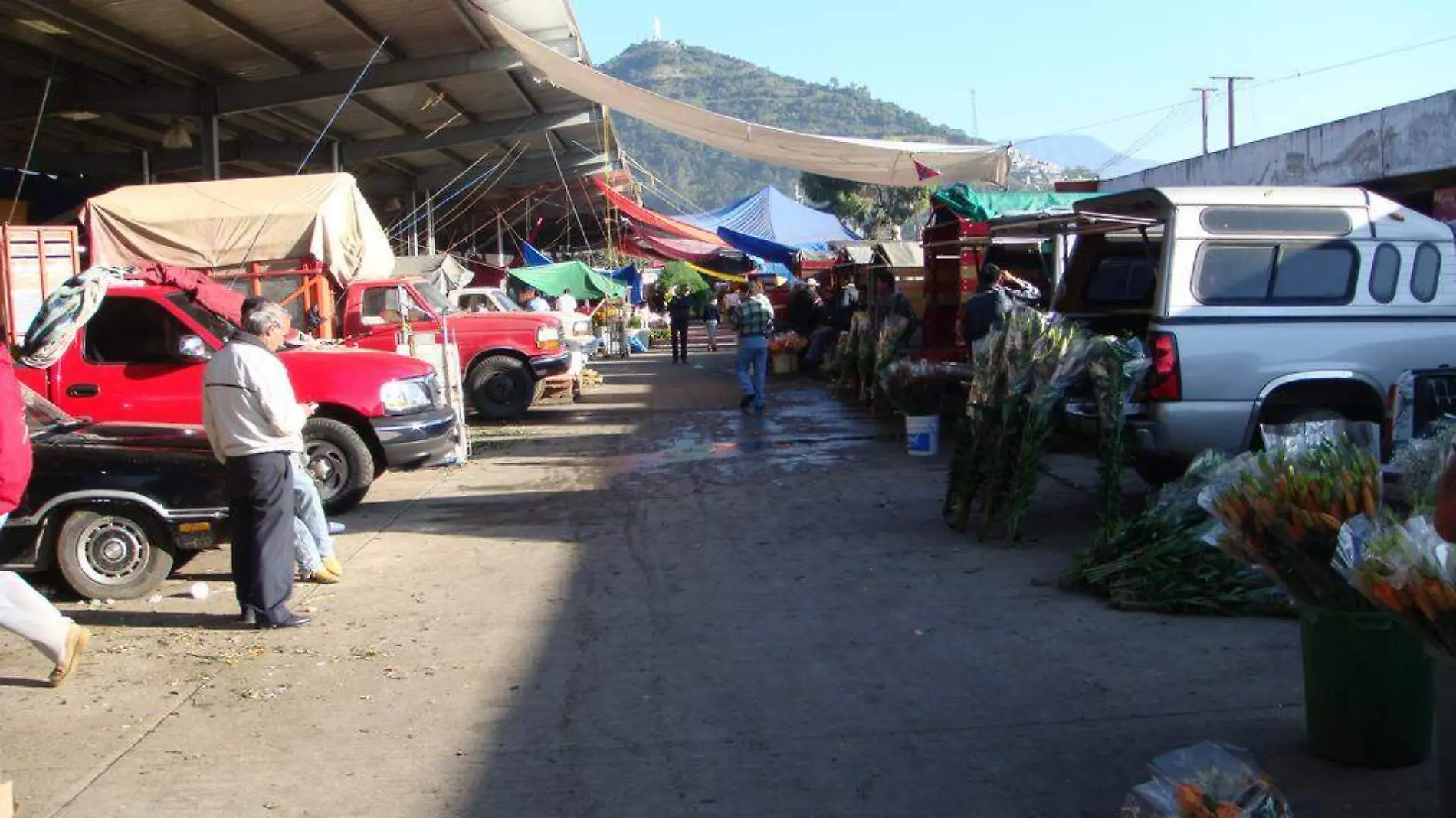 mercadp flores tenancingo